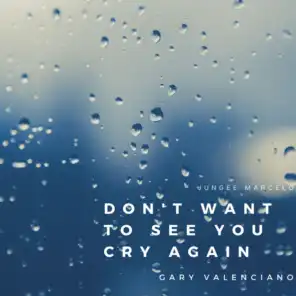 Don't Want to See You Cry Again