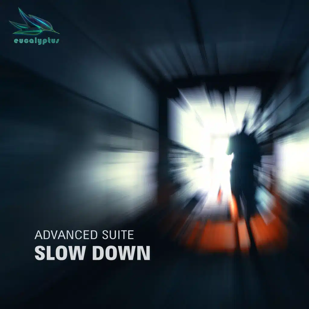 Slow Down