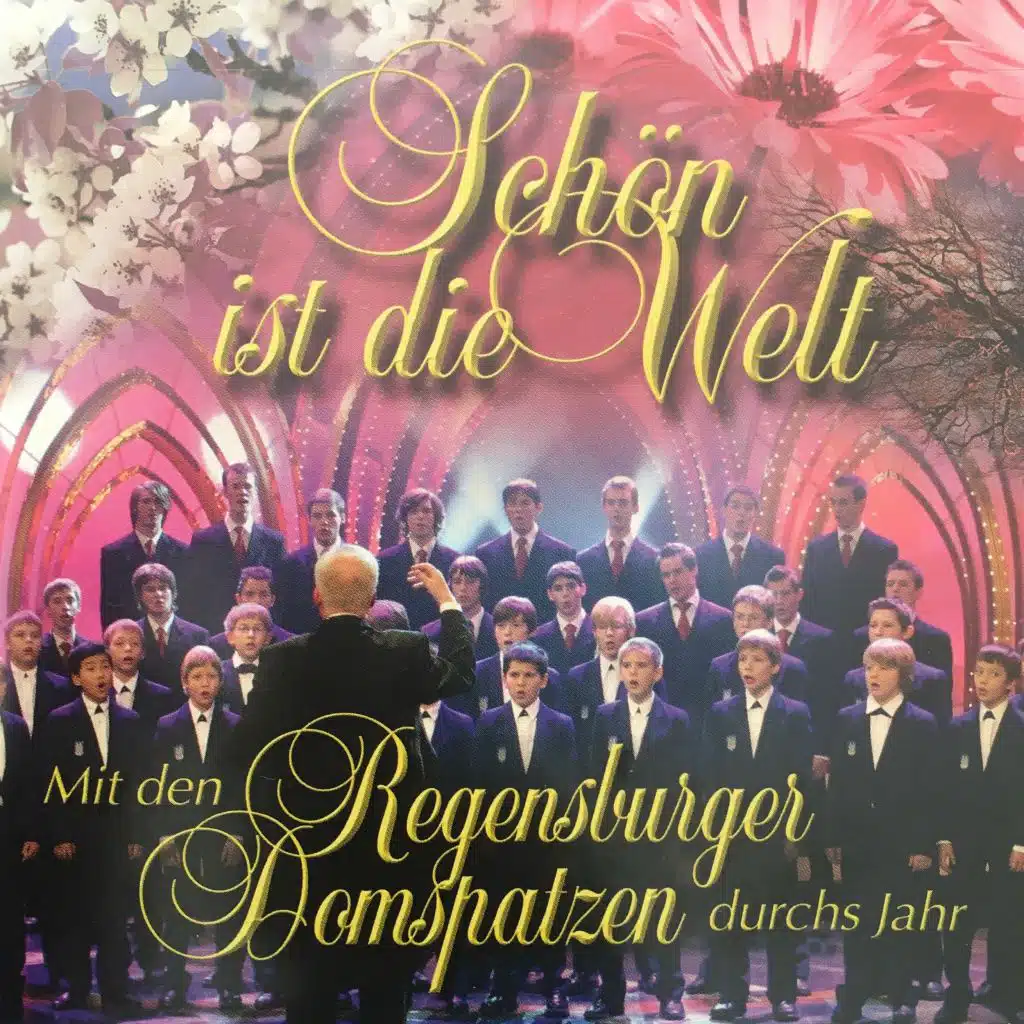 All mein Gedanken, die ich hab