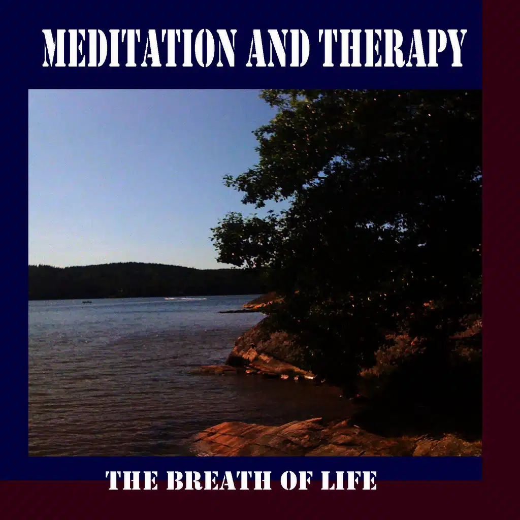 Meditation and Therapy