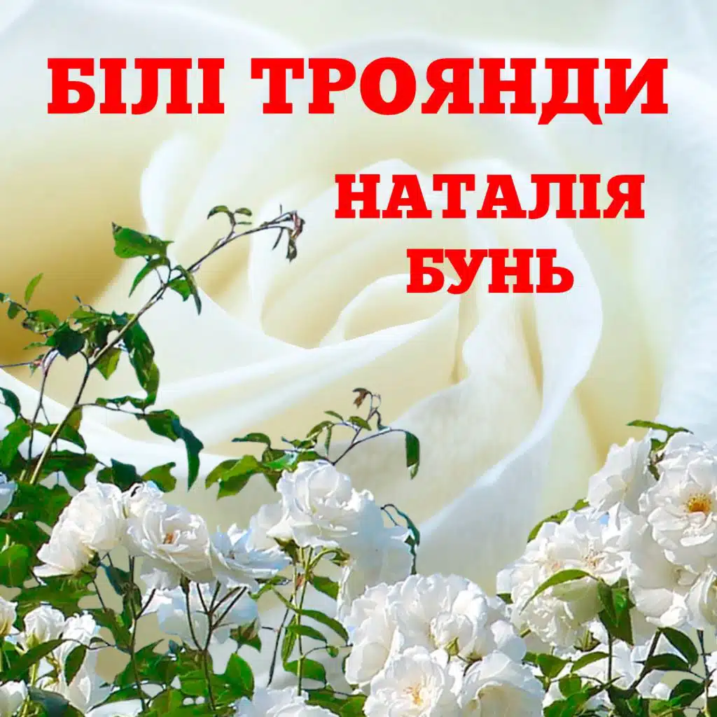 Білі троянди