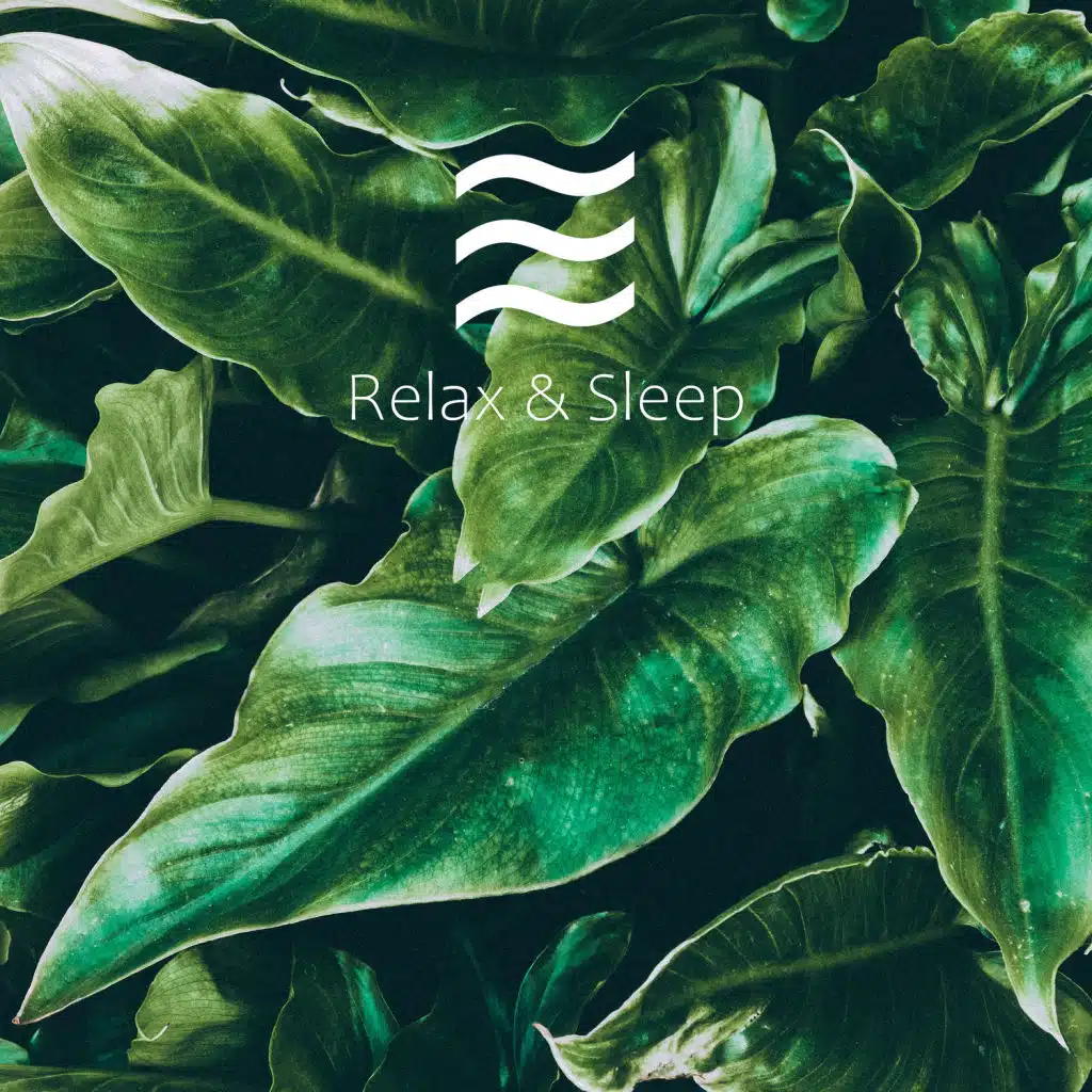 Nature Sleep Noise