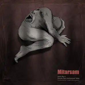 Mitarsam (feat. Mohammad Yekta)