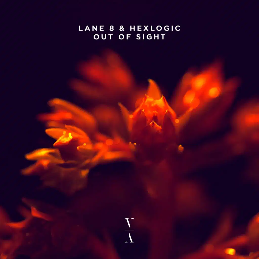 Lane 8 & Hexlogic