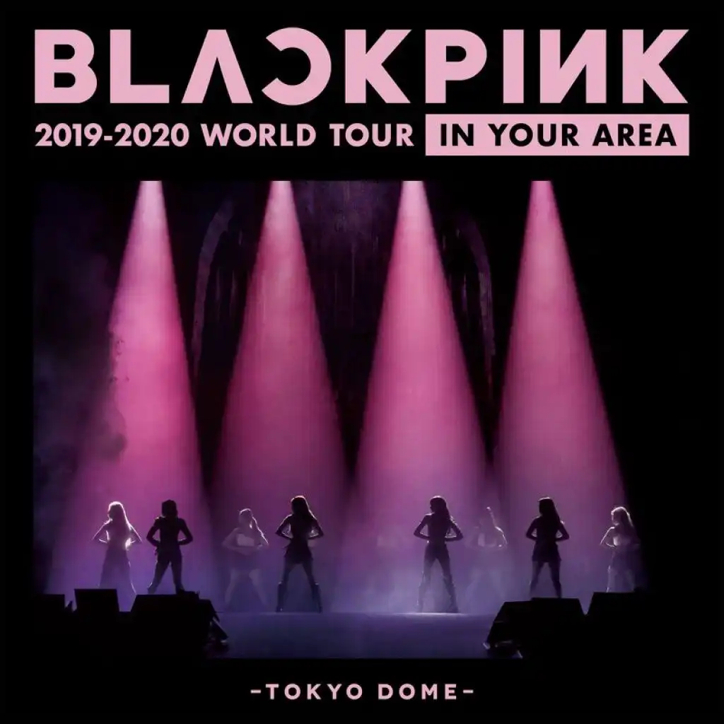 Stay (Remix / Japan Version / BLACKPINK 2019-2020 WORLD TOUR IN YOUR AREA -TOKYO DOME-)
