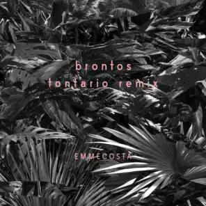 Brontos (Tontario Remix)