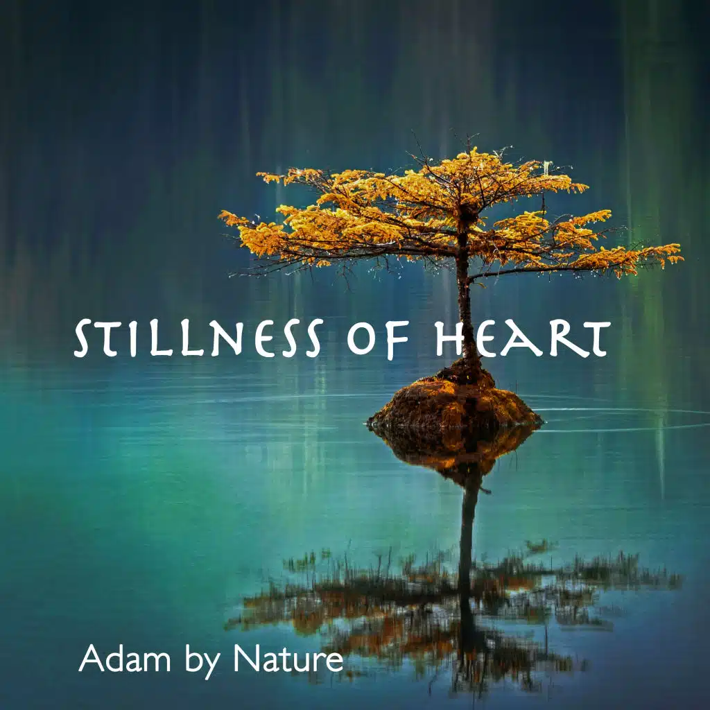 Stillness Of Heart
