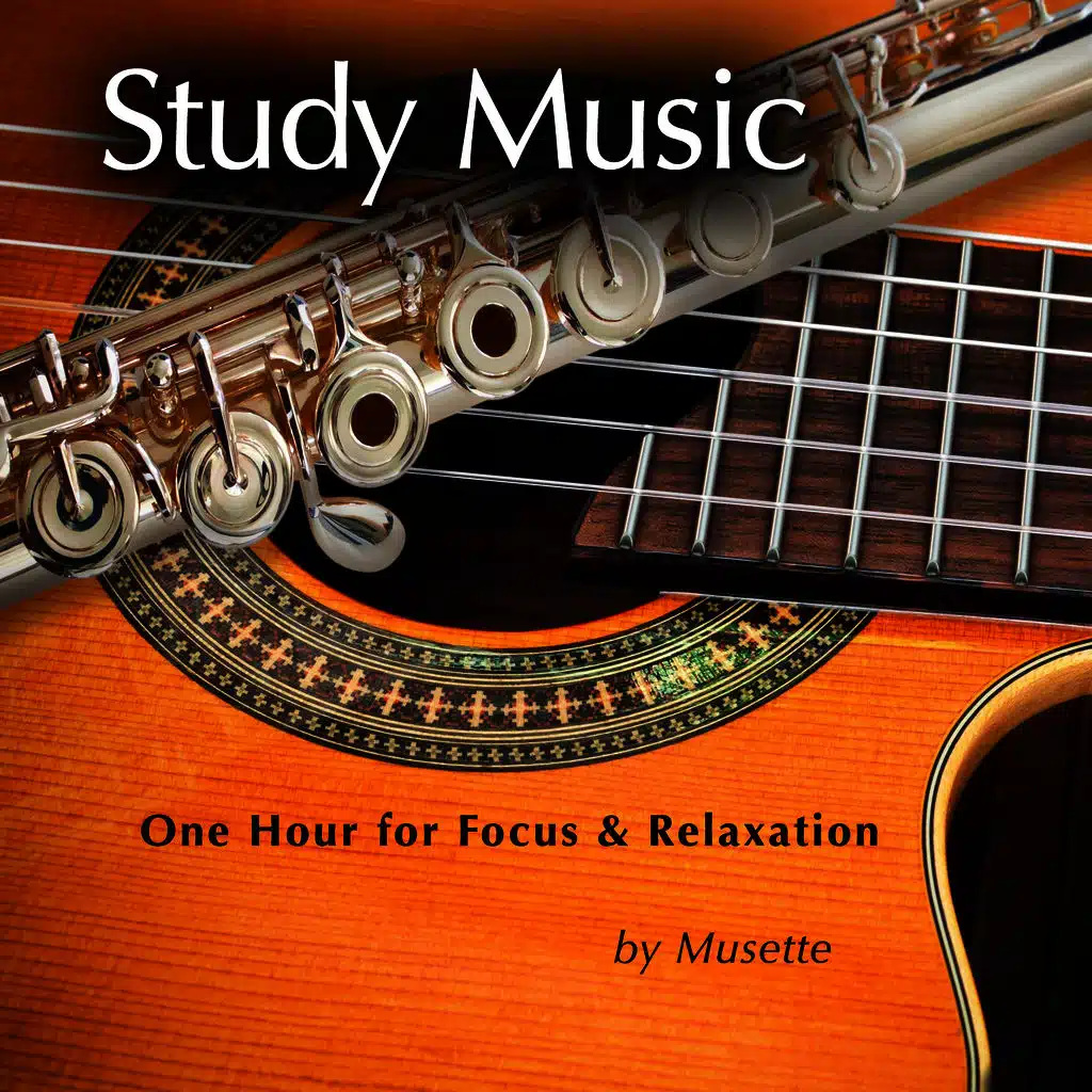 Study Music (Classical Guitar & Flute at the Beach)