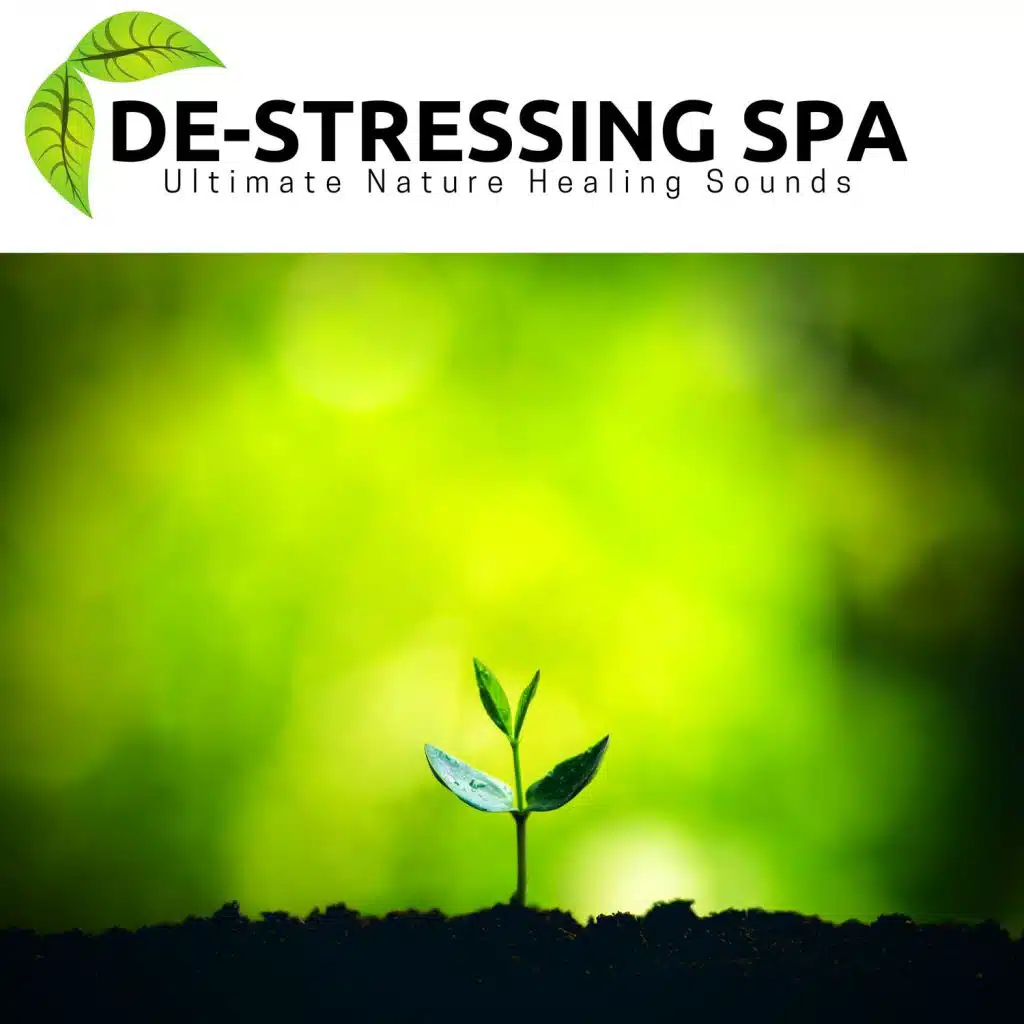 Amazing Spa Music & Therapeutic Spa and Massage