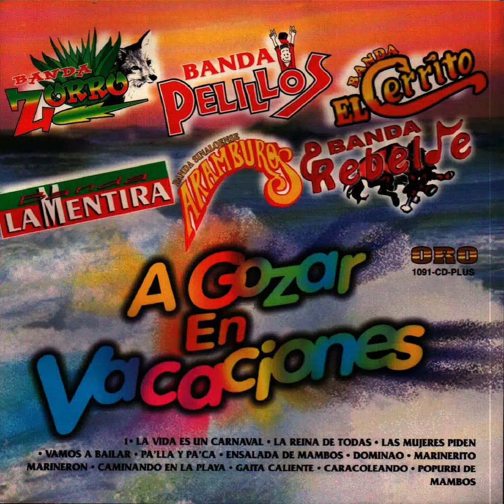 A Gozar en Vacaciones