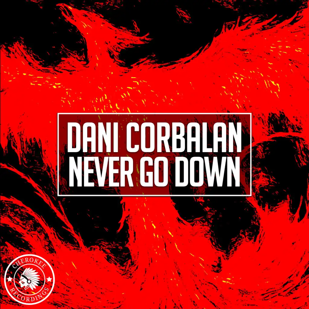 Never Go Down (Radio Edit)