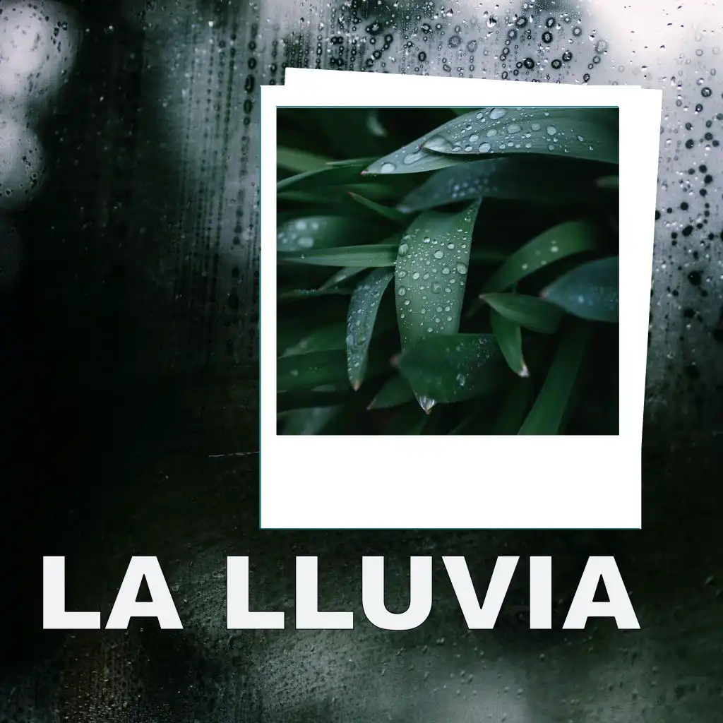 Lluvia Sonido