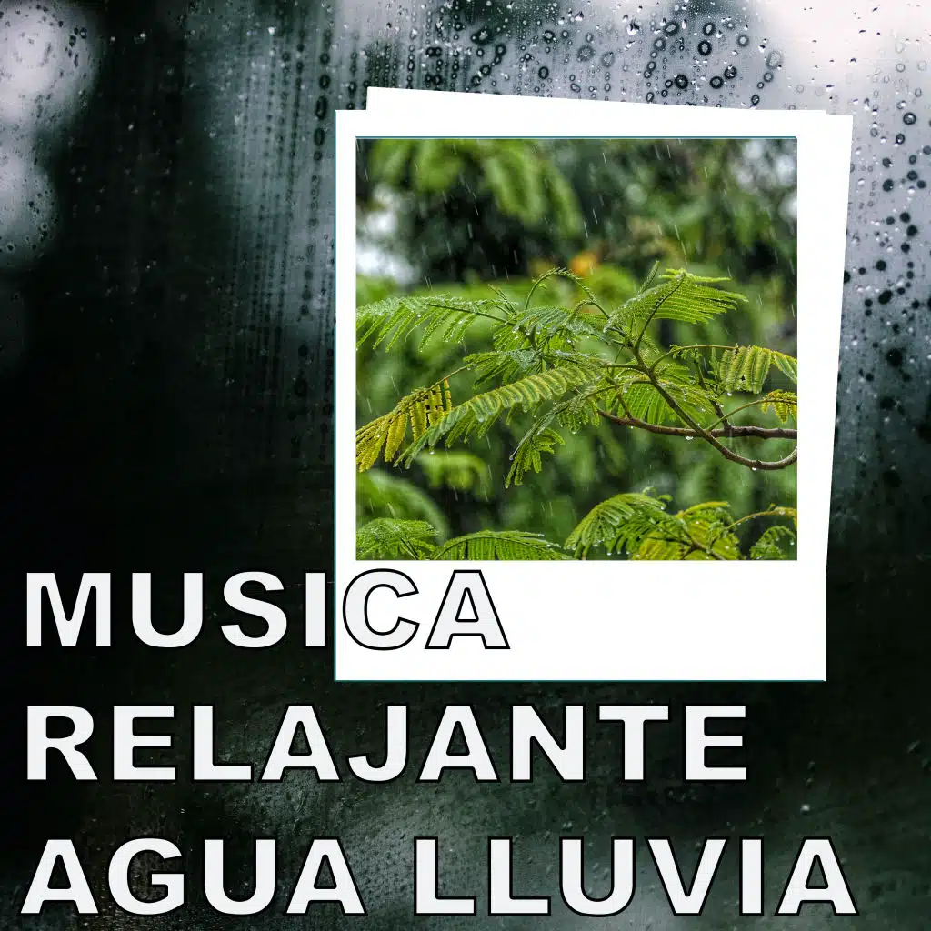 Ruido de Lluvia