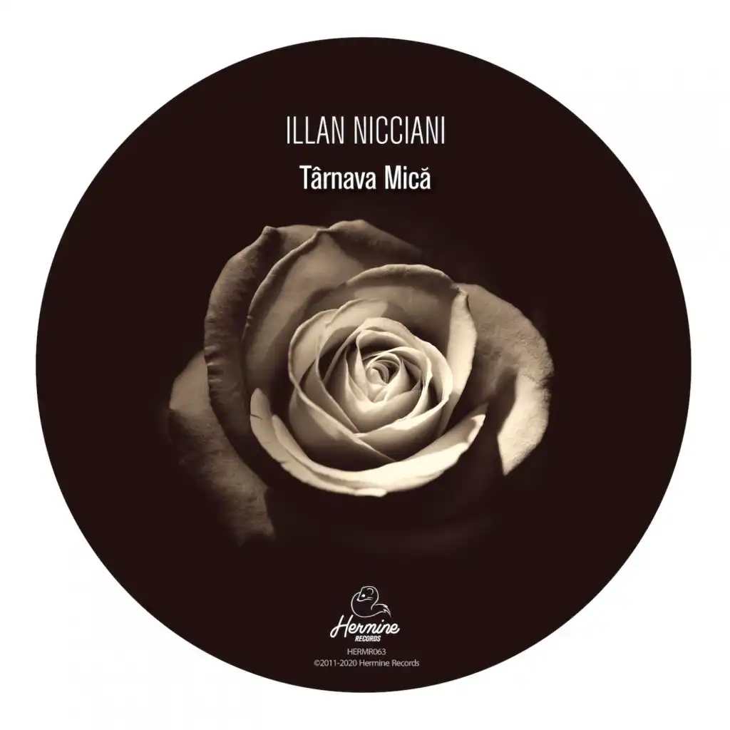 Illan Nicciani