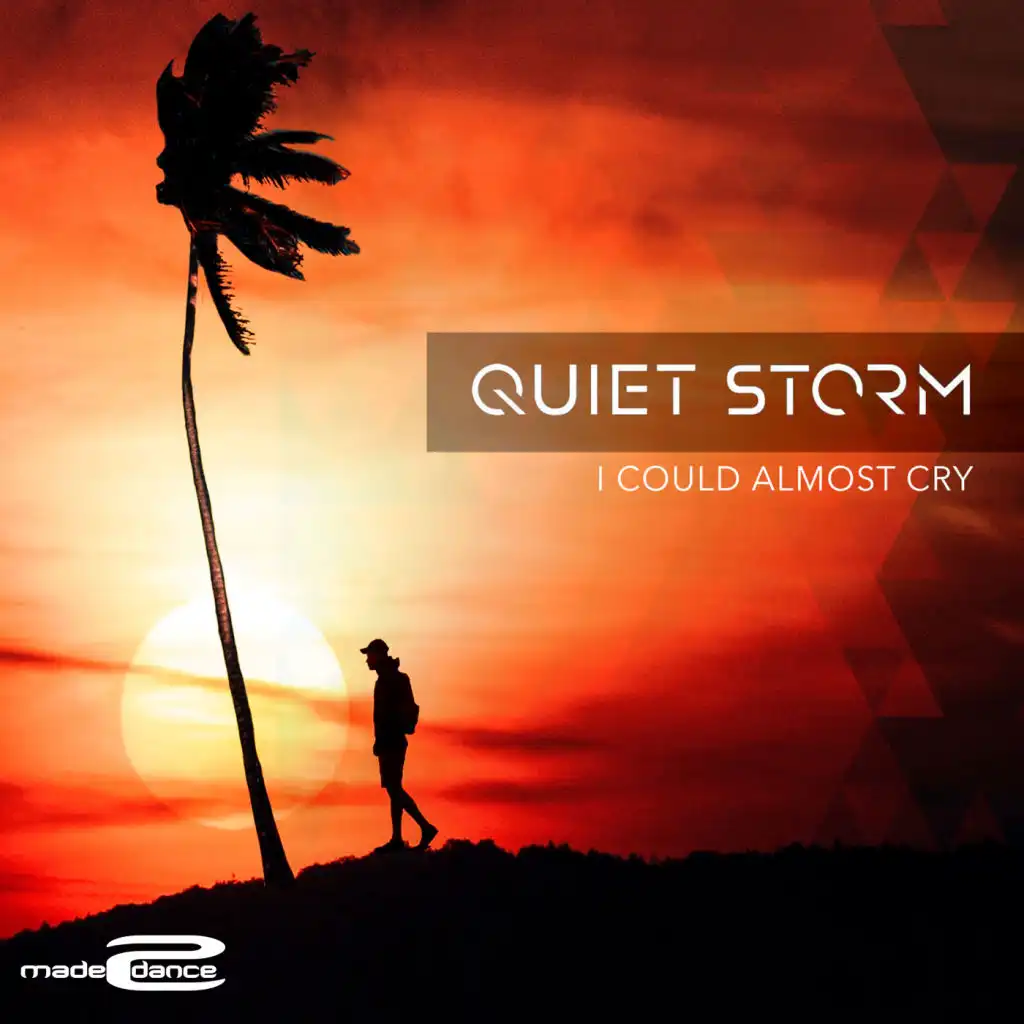 I Could Almost Cry (Extended Mix)