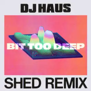 Bit Too Deep (Shed Remix)