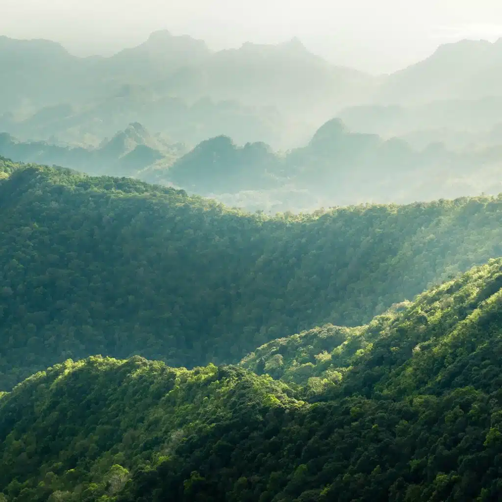 As 20 Melhores Melodias Para Relaxar E Meditar