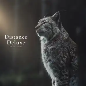 Distance: Deluxe