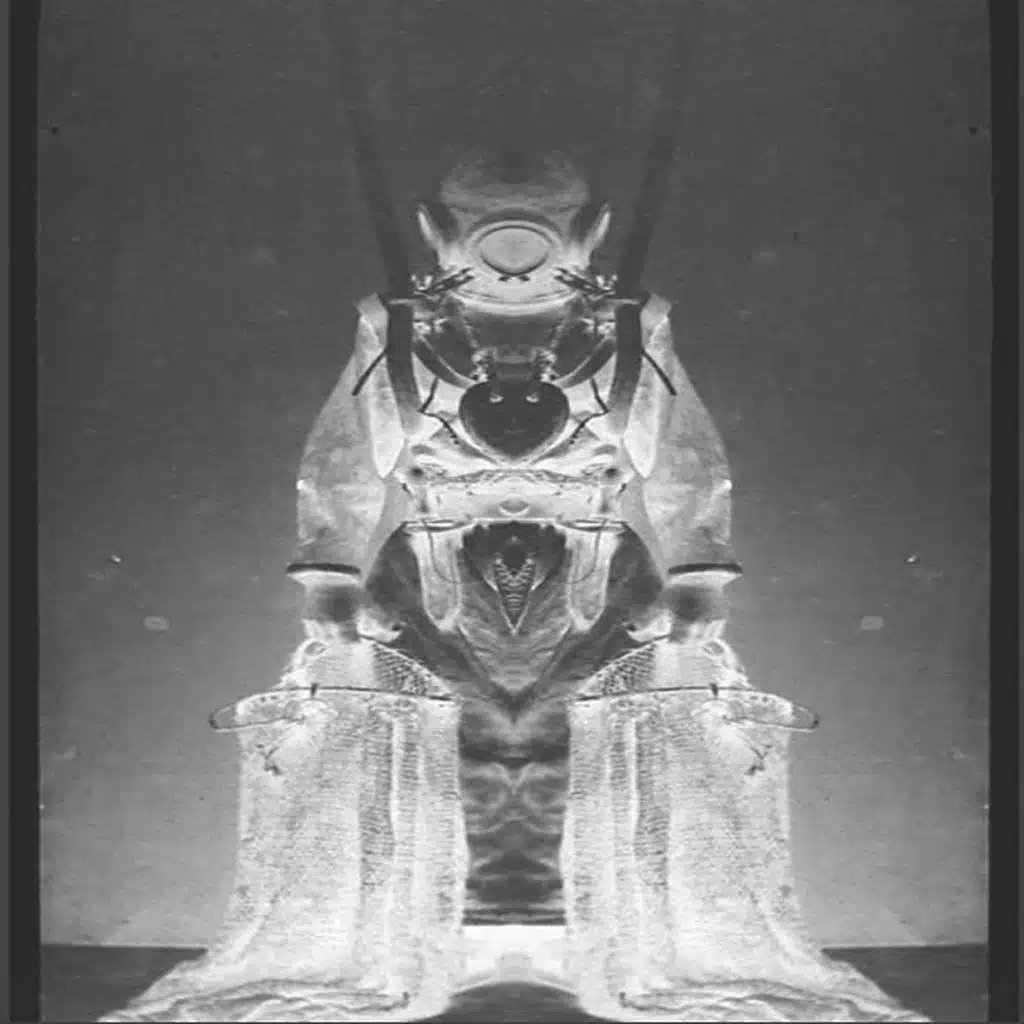 To the Depths I Dive