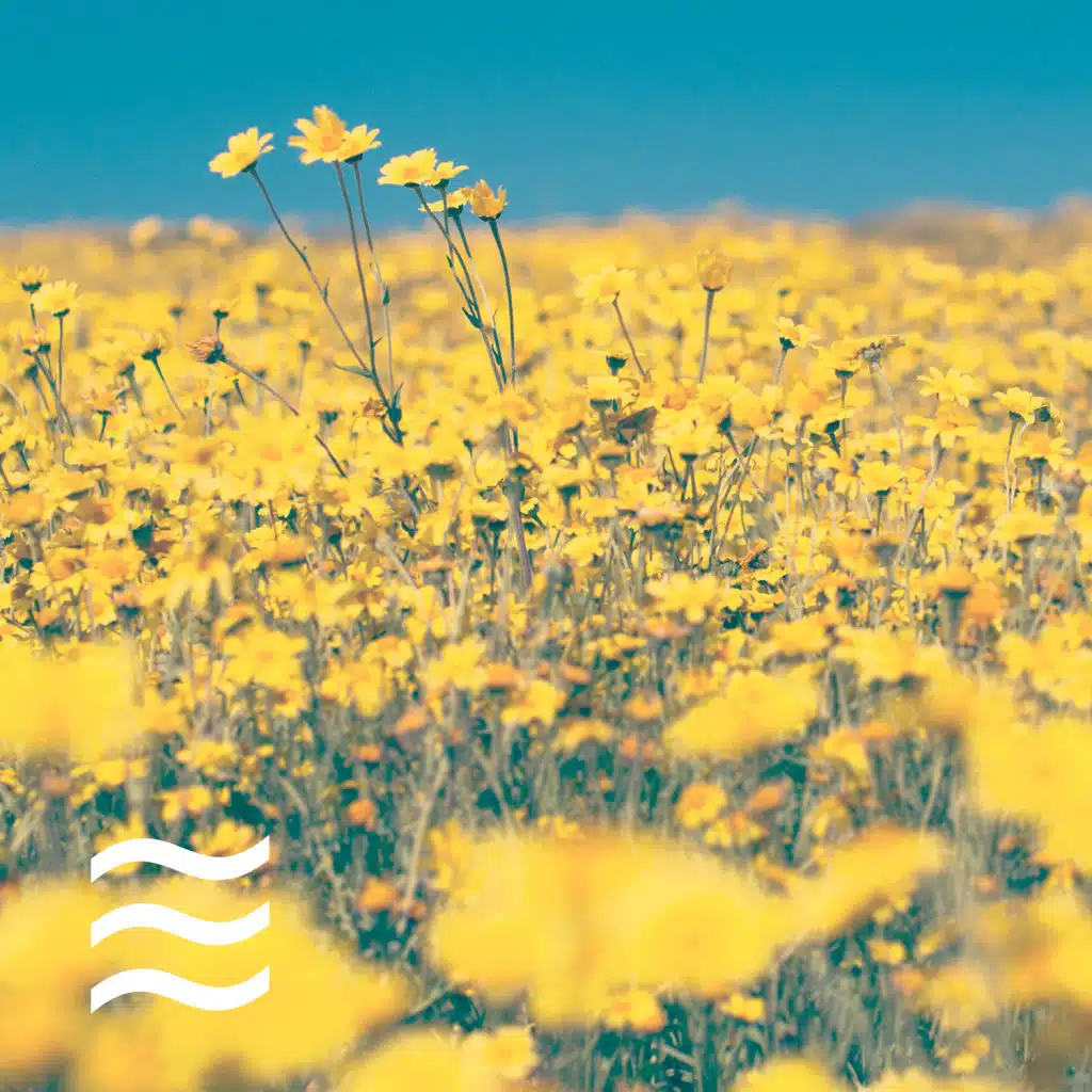 Womby Sleep White Noise