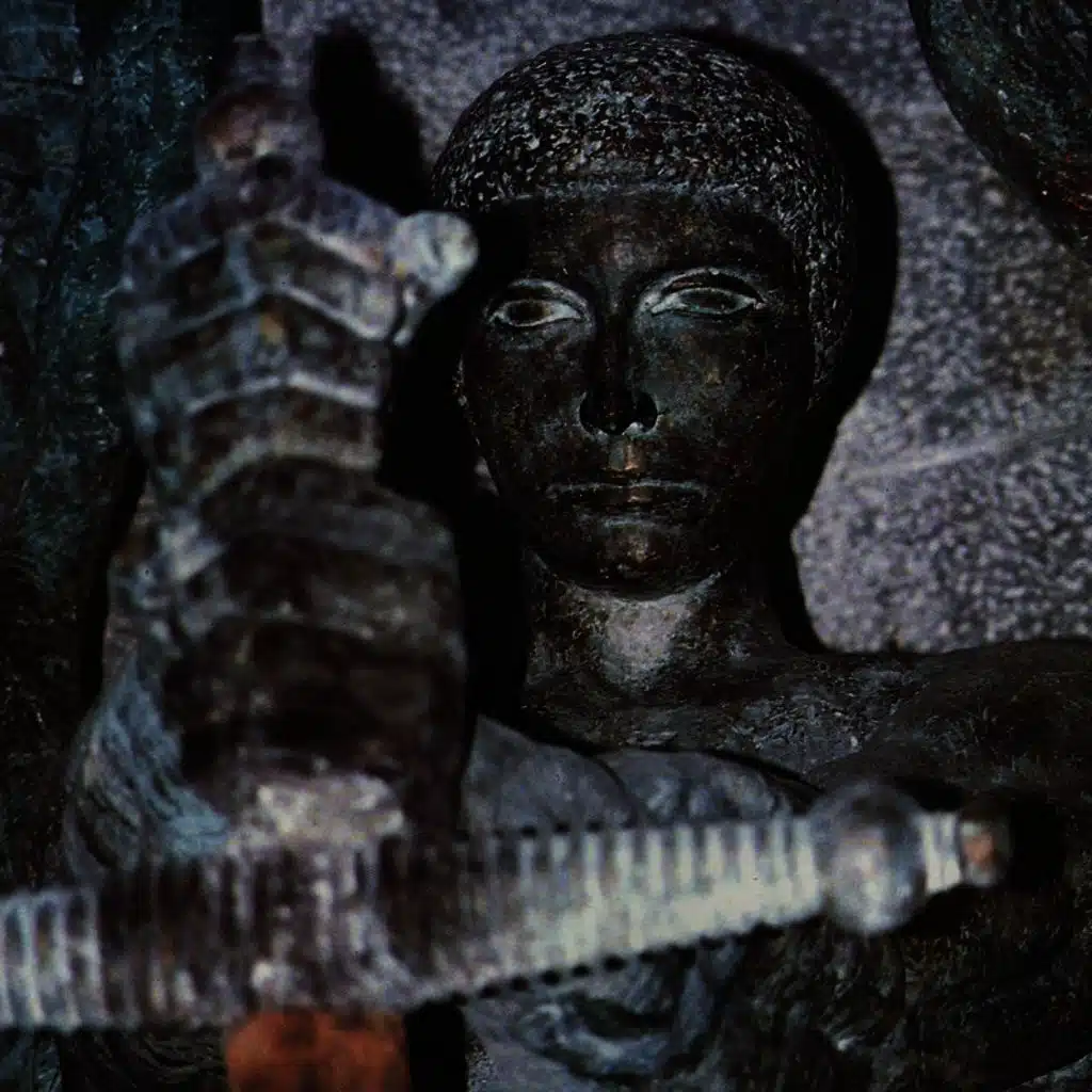 Hidden Among the Leaves