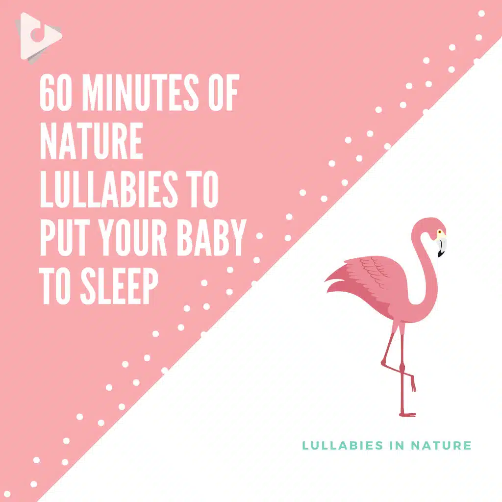 60 Minutes of Nature Lullabies to Put Your Baby to Sleep