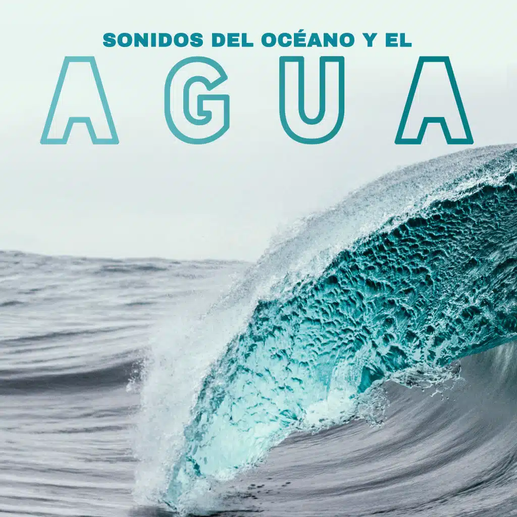 Sonidos de Las Olas del Mar