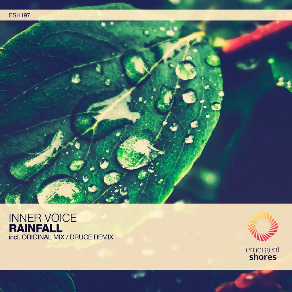 Rainfall (feat. Druce)