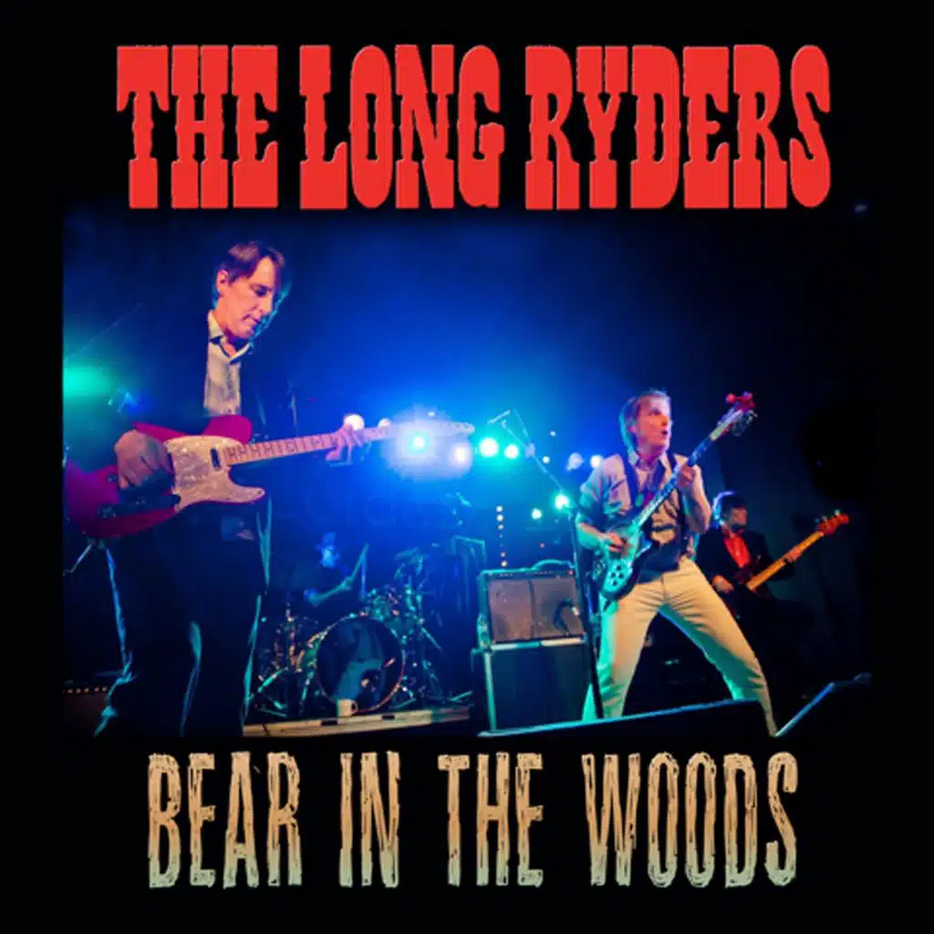 Bear in the Woods - Single