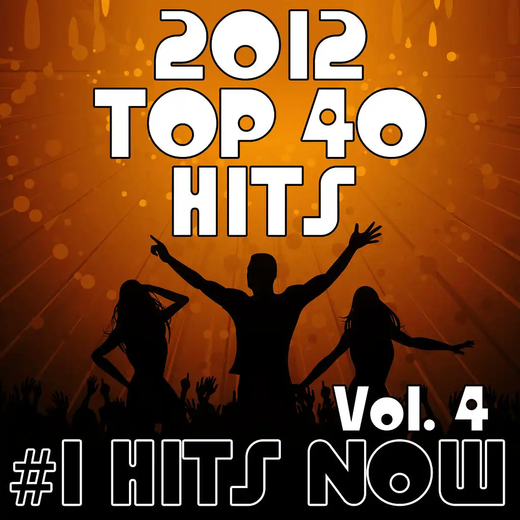 2012 Top 40 Hits, Vol. 4