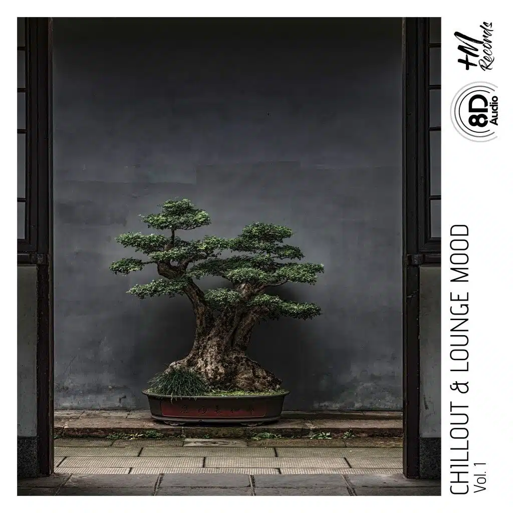 Chillout & Lounge Mood, Vol. 1 (8D Audio Versions)