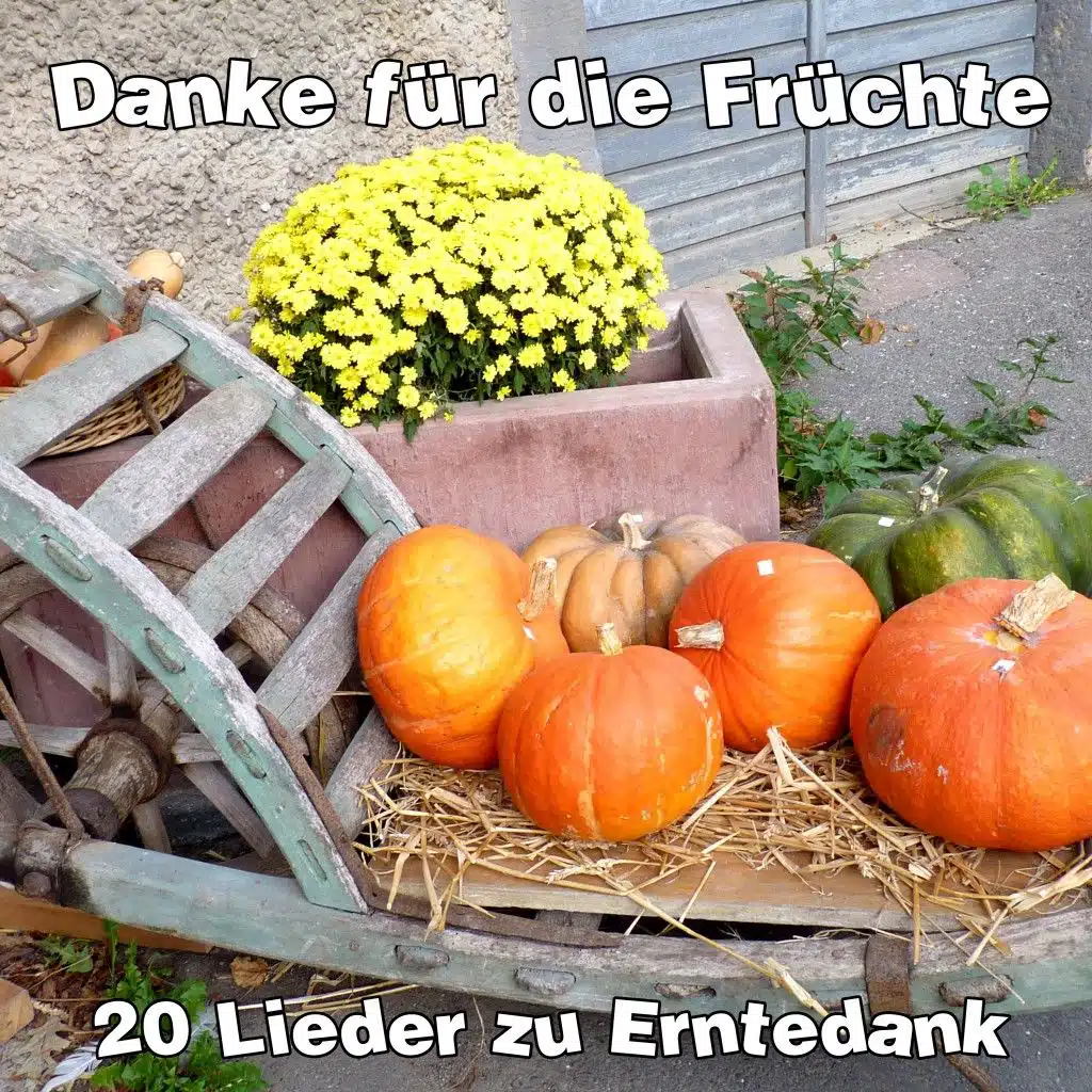 Danke für die Früchte - 20 Lieder zu Erntedank