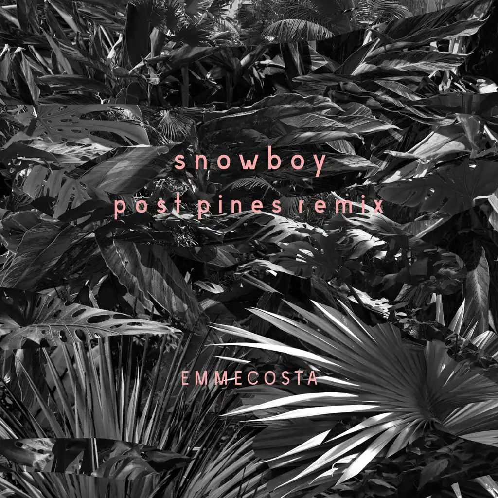 Snowboy (Post Pines Remix)