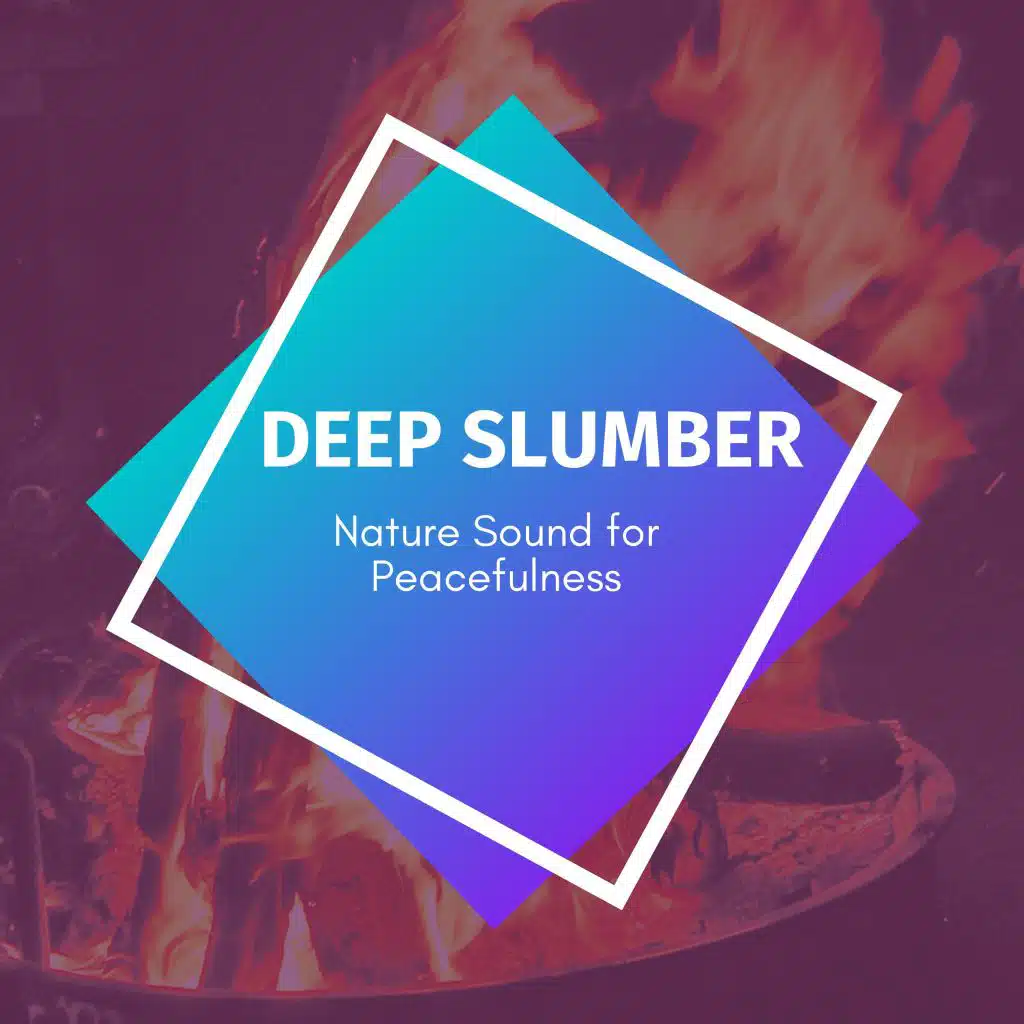 Living On A Rainy Mountains