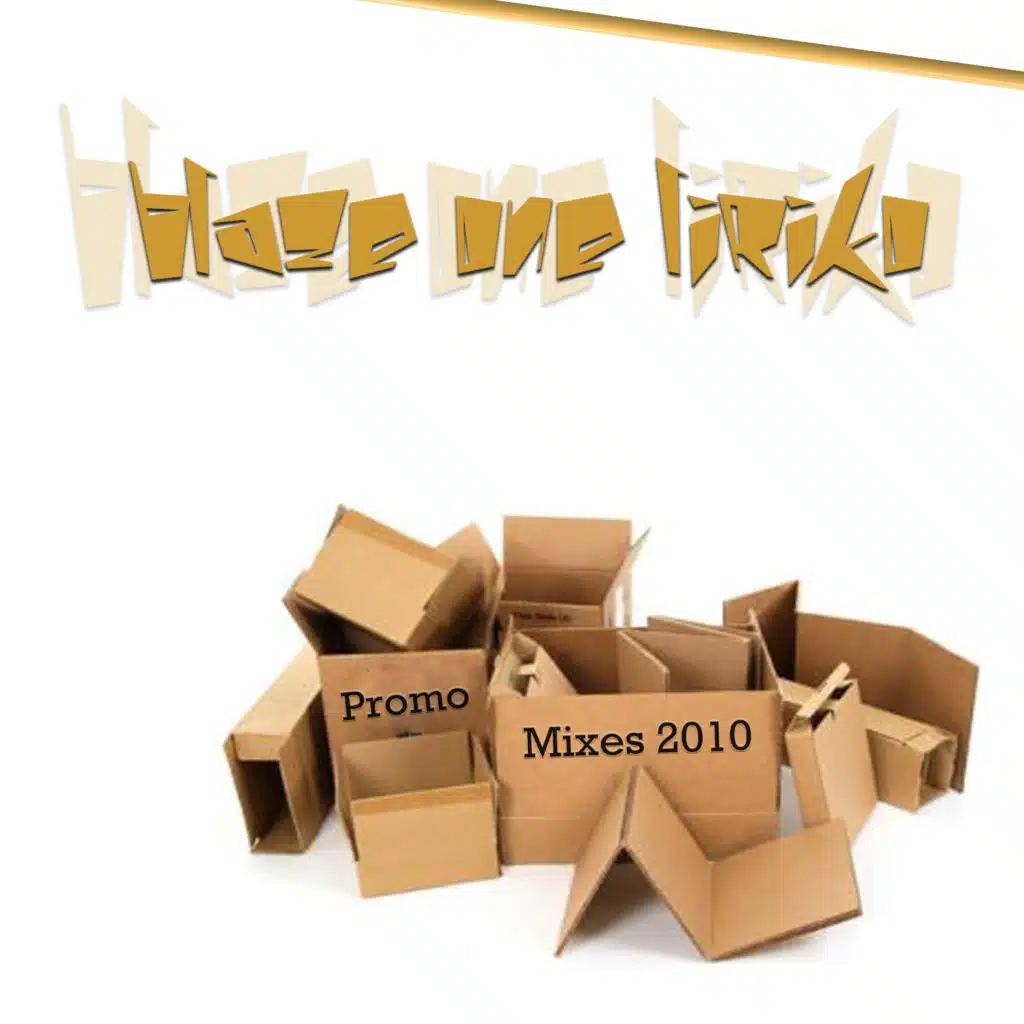 The Promo Mixes 2010