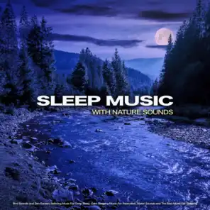 Music For Absolute Sleep & Music for Sleep