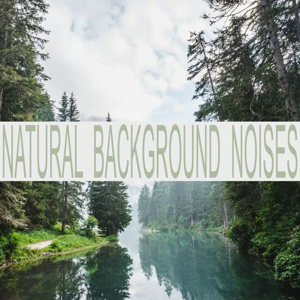 Background Noise Lab