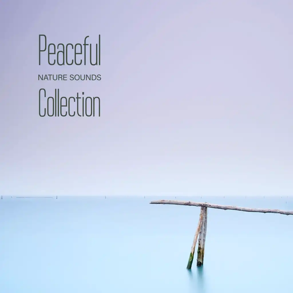 Peaceful Nature Sounds Collection - Inspirational New Age Songs Great for Relaxation, Meditation, Yoga or Sleep