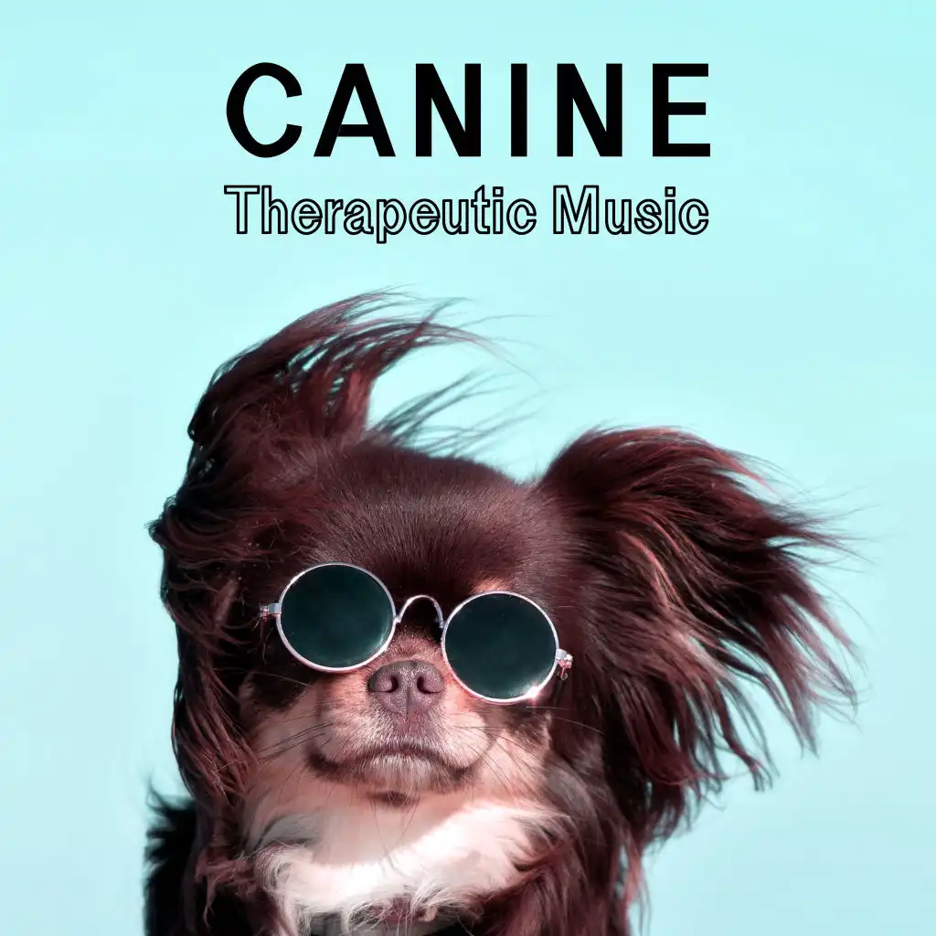 Canine Therapeutic Music – Deeply Relaxing, Calming and Healing Tunes for Your Dog