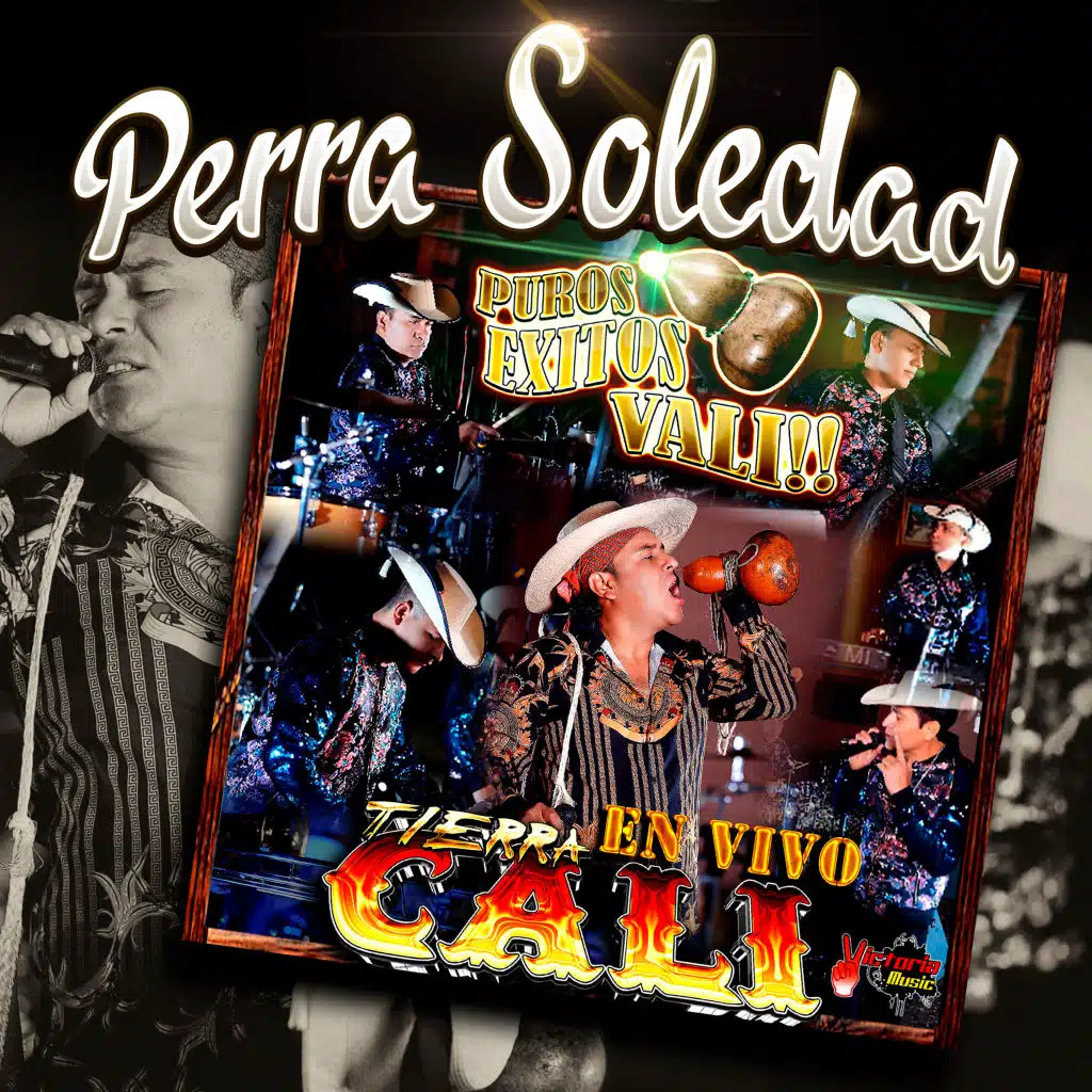 Perra Soledad (En Vivo)