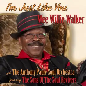 I'm Just Like You (feat. The Sons of the Soul Revivers)