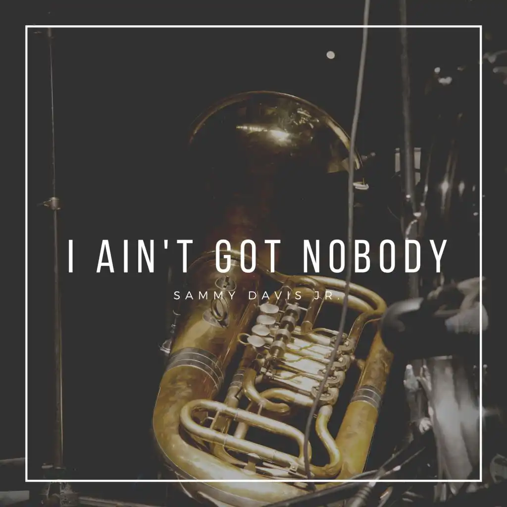I Ain't Got Nobody