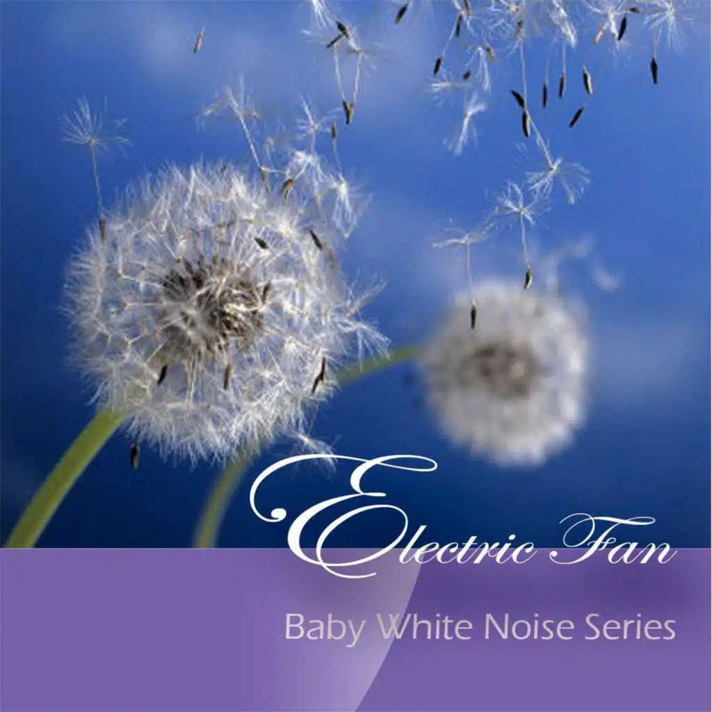 Electric Fan (Baby White Noise Series)
