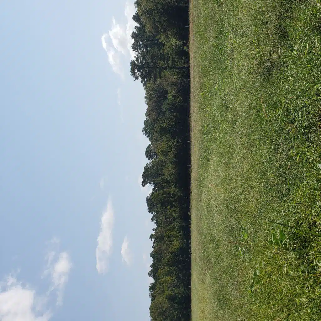 Dirtroad Days