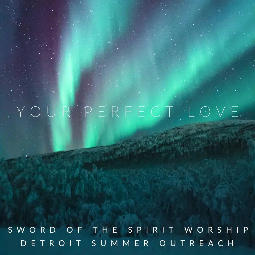 Your Perfect Love (feat. Detroit Summer Outreach)