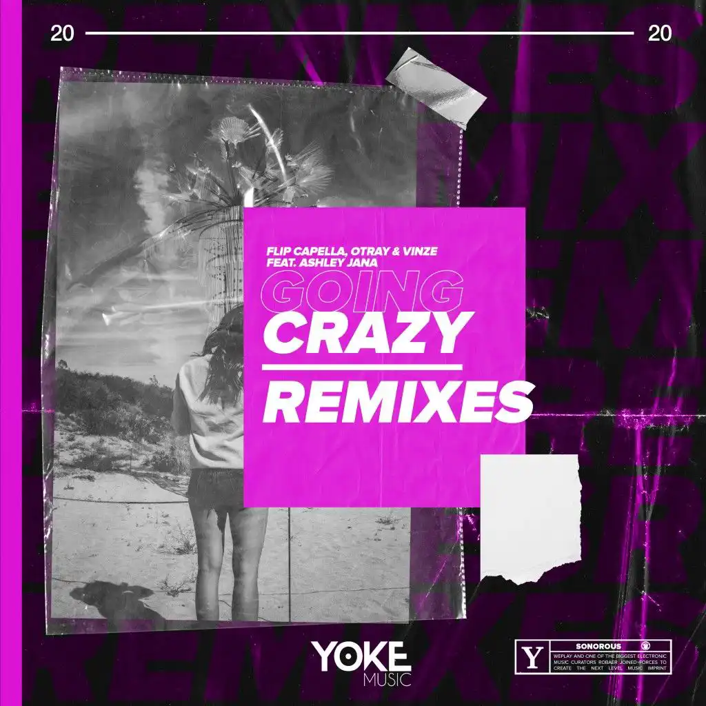 Going Crazy (Ron Starz Remix) [feat. Ashley Jana]