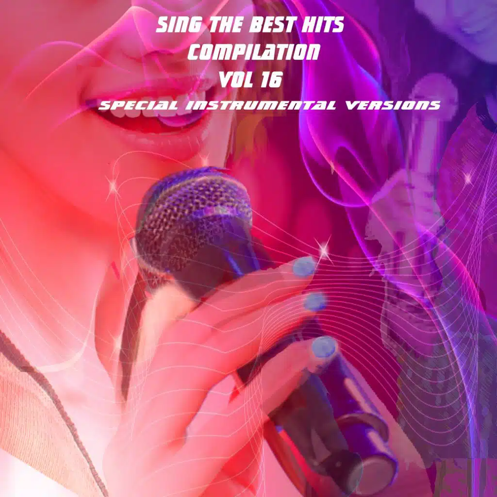 Sing The Best Hits Vol 16 (Special Instrumental Versions)