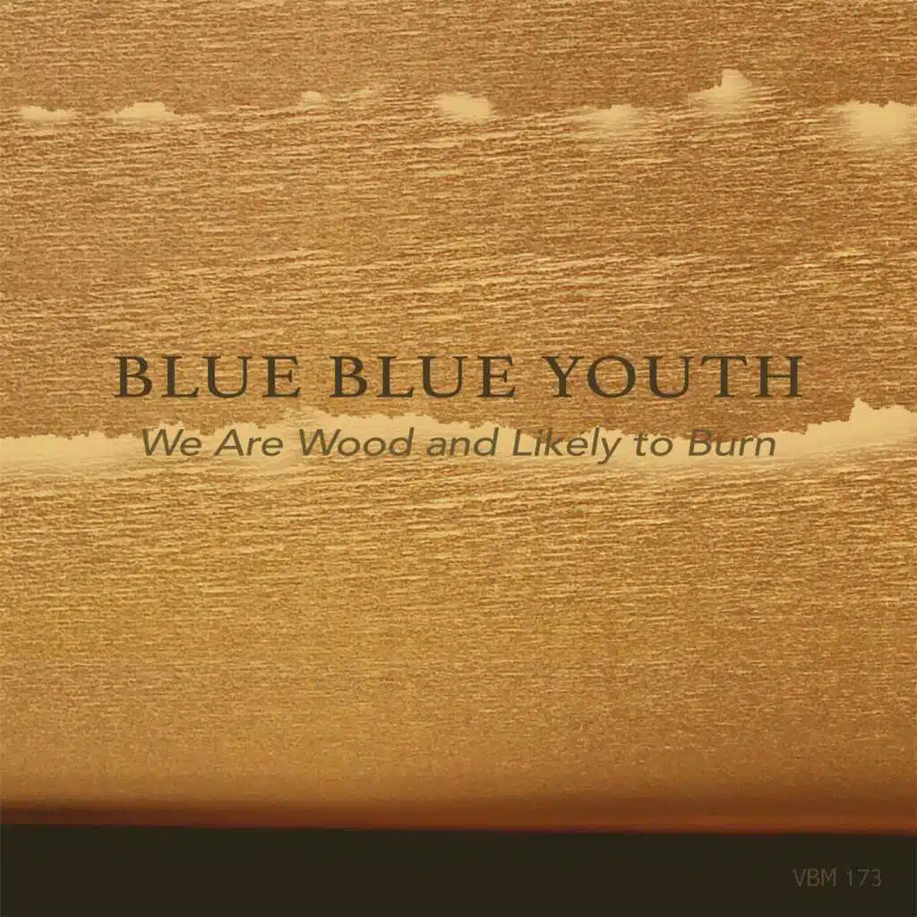 We Are Wood and Likely to Burn