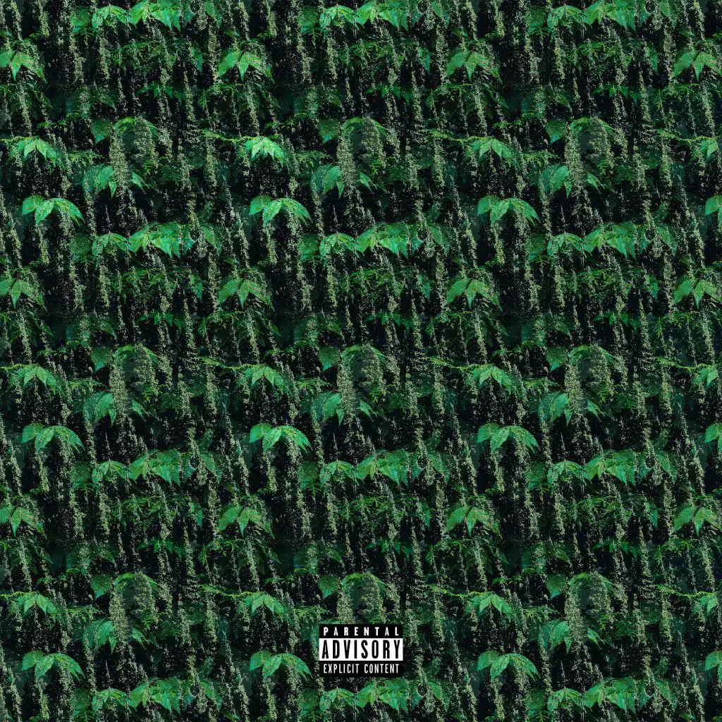 عليا بخسارة