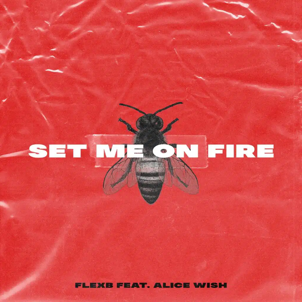 Set Me on Fire (Extended) [feat. Alice Wish]